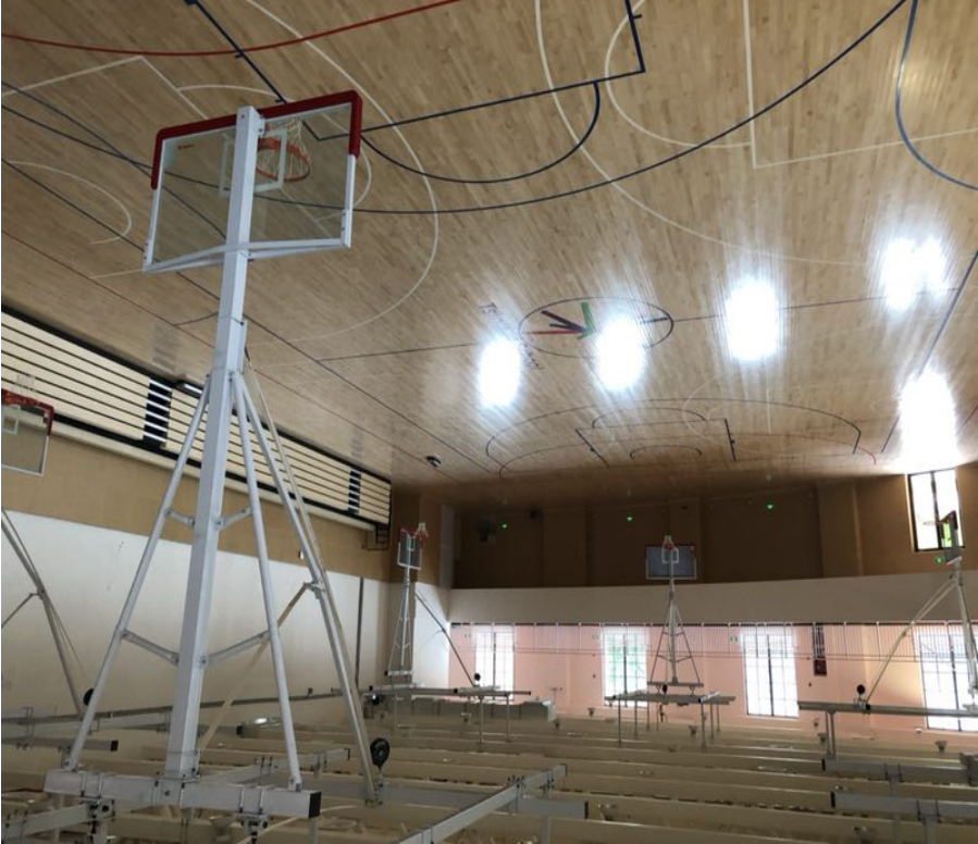 55d06993-5f6b-4a22-adcd-d238439eabd2